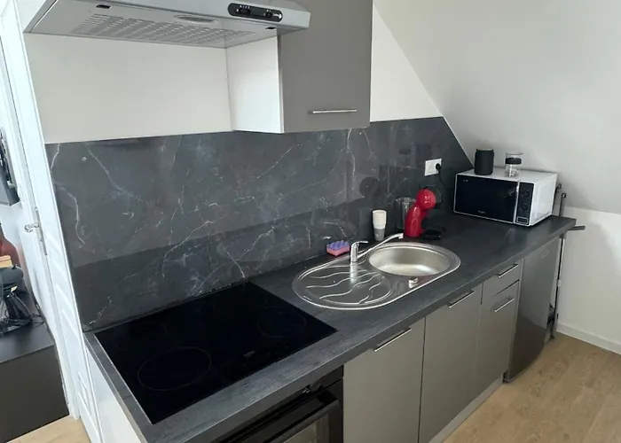 Apartamento L'escapade 24h Du Mans 4 Pers Sauna *