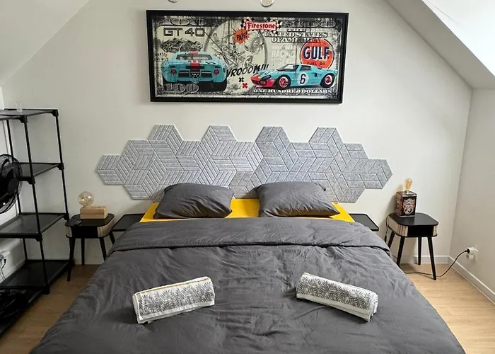 Apartamento L'escapade 24h Du Mans 4 Pers Sauna